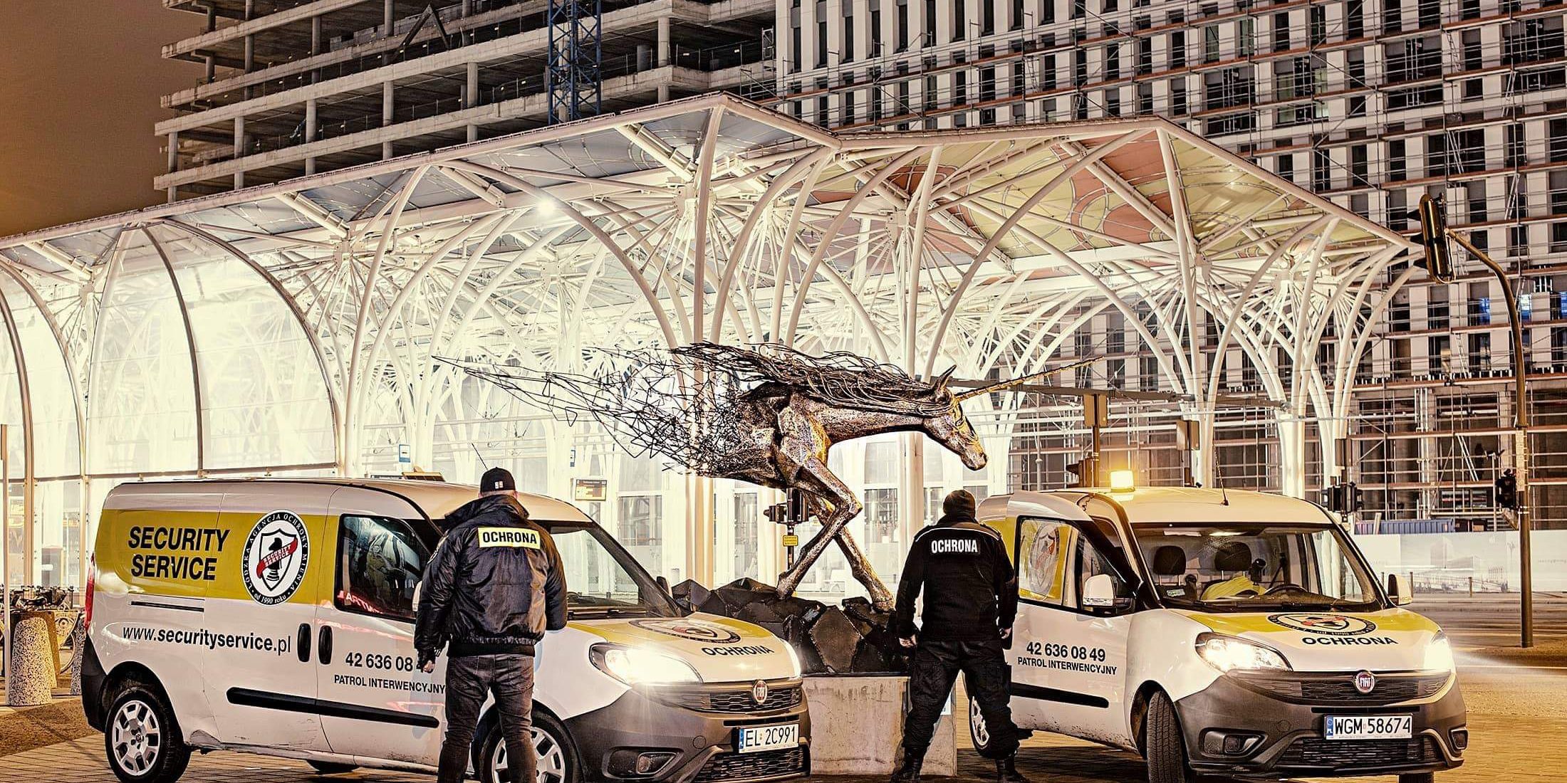 broń palna prawo uprawnienia pracownika ochrony a użycie broni